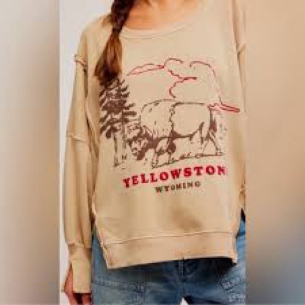 Free People Beige Yellowstone Graphic Long Sleeve Tee - Picture 7 of 14